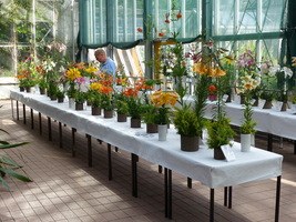 Foto: Dr. Peter Müller